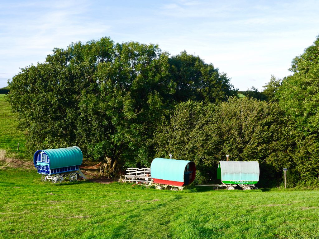 Glamping in Devon | Fisherton Farm's The Vintage Vardos Glamping in Devon | Fisherton Farm's The Vintage Vardos