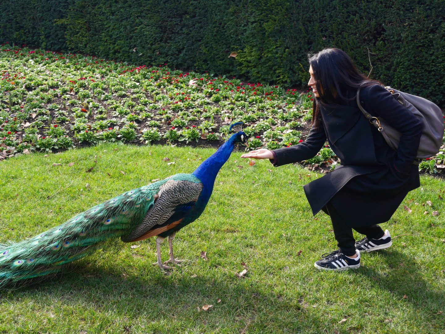 free things to do in London | London for free: 10 money-saving experiences