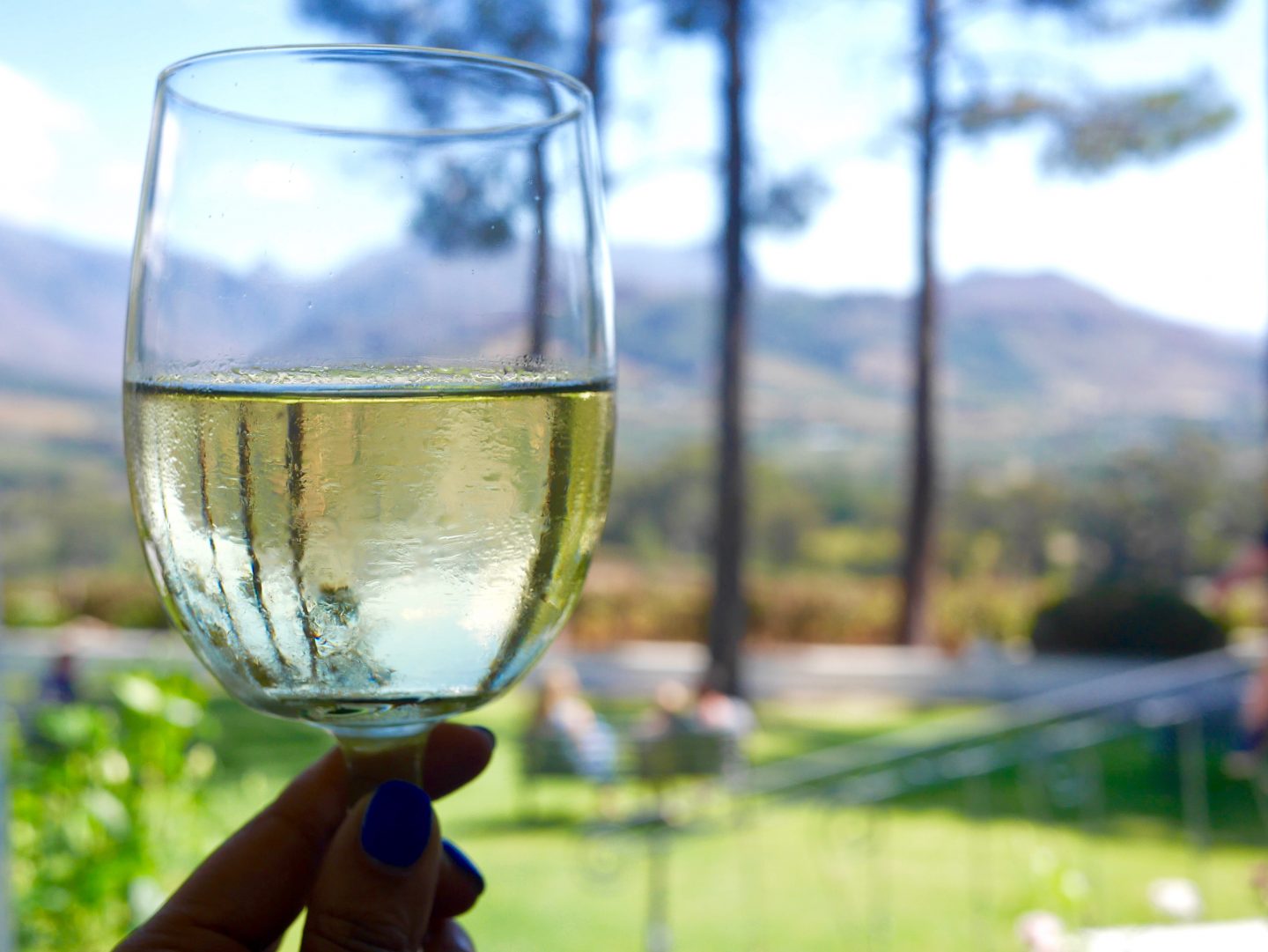 South Africa: Exploring the Cape Winelands with kids