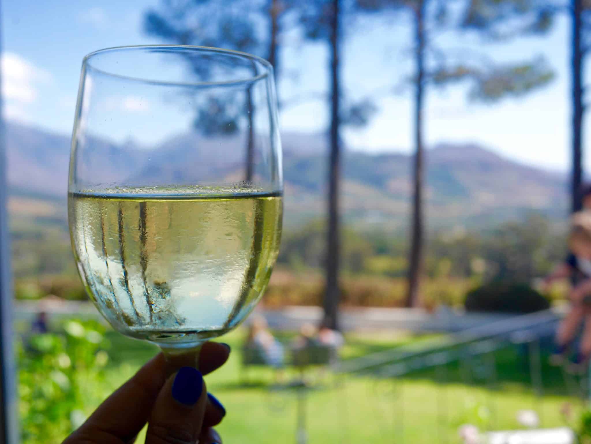 South Africa: 5 reasons why it's great for families