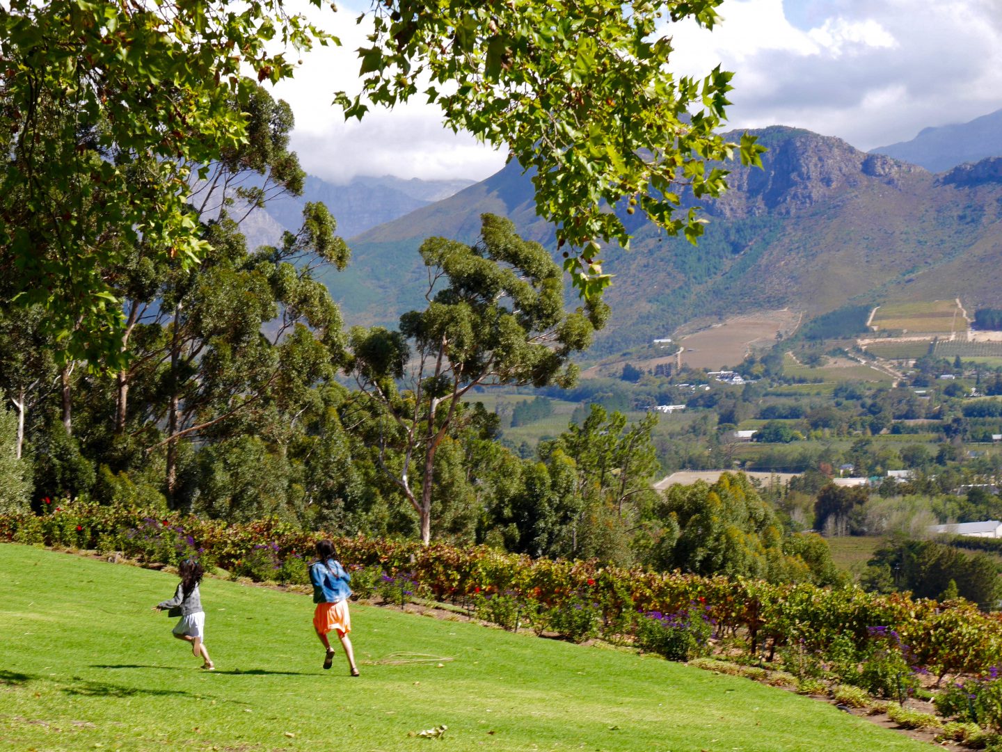 South Africa: Lunch in Franschhoek at La Petite Ferme