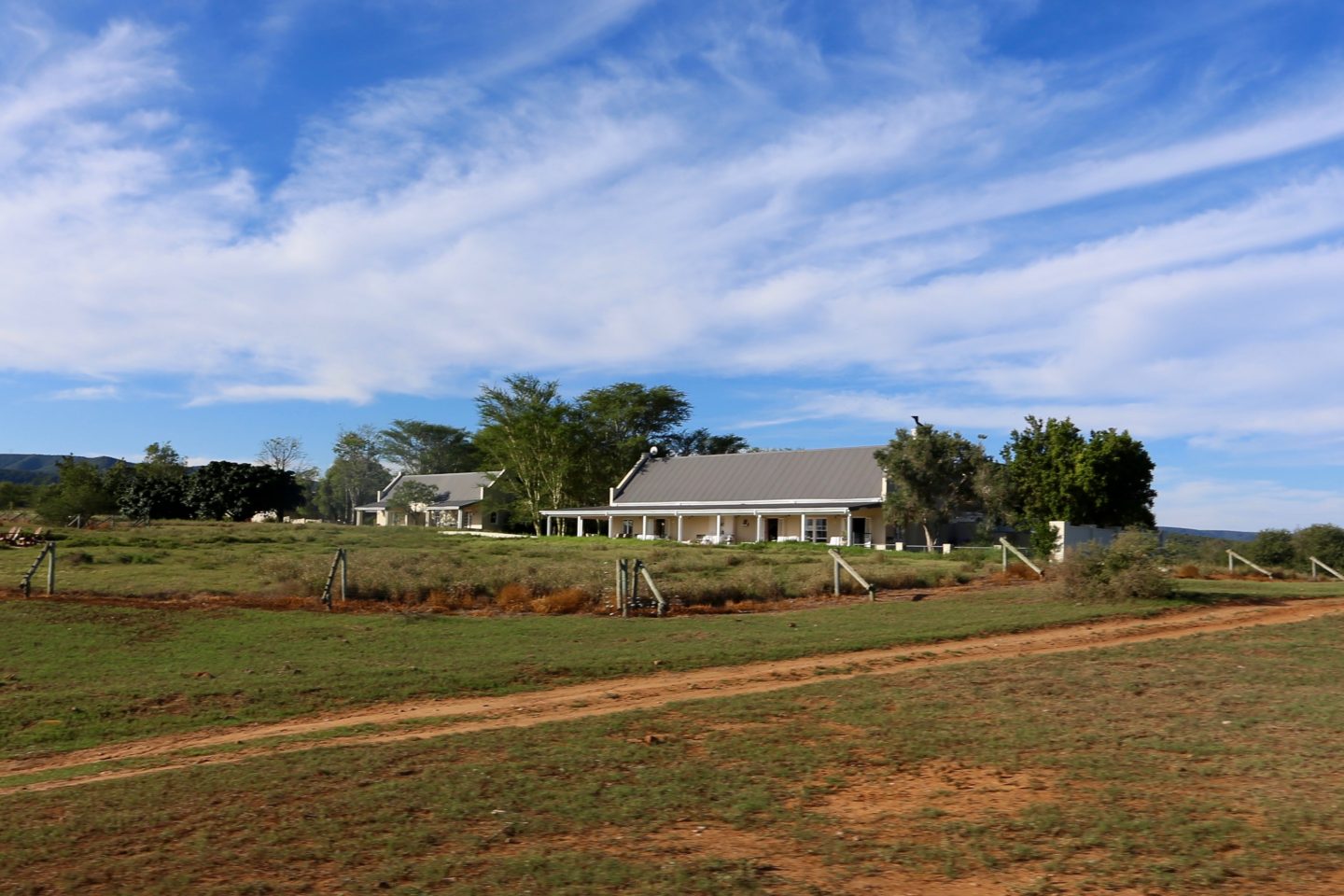 South Africa: 7 tips for an incredible family African safari holiday