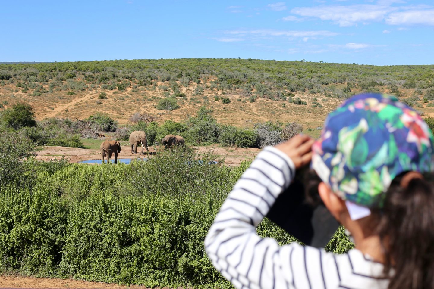 South Africa: 7 tips for an incredible family African safari holiday