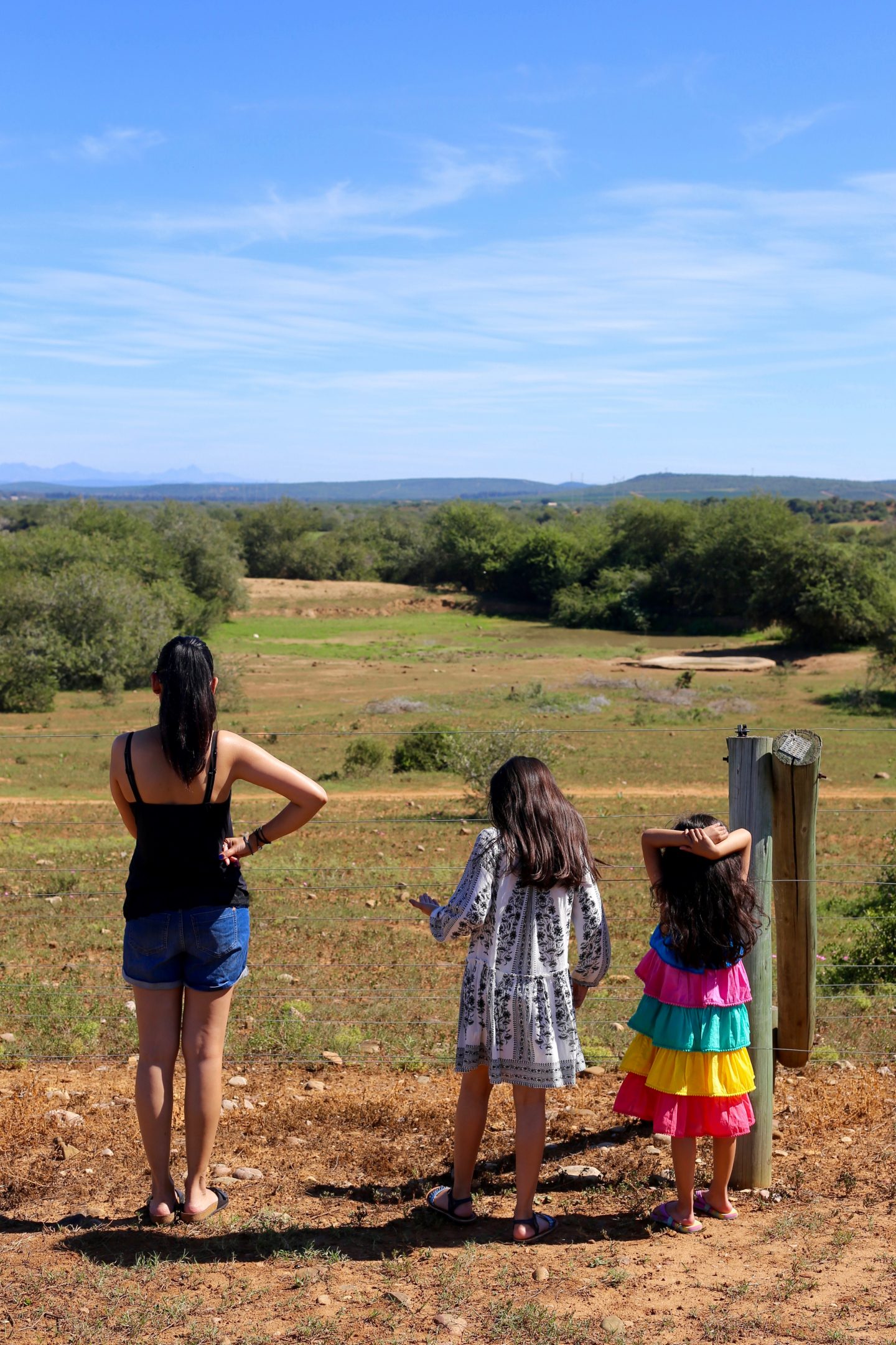 South Africa: 7 tips for an incredible family African safari holiday