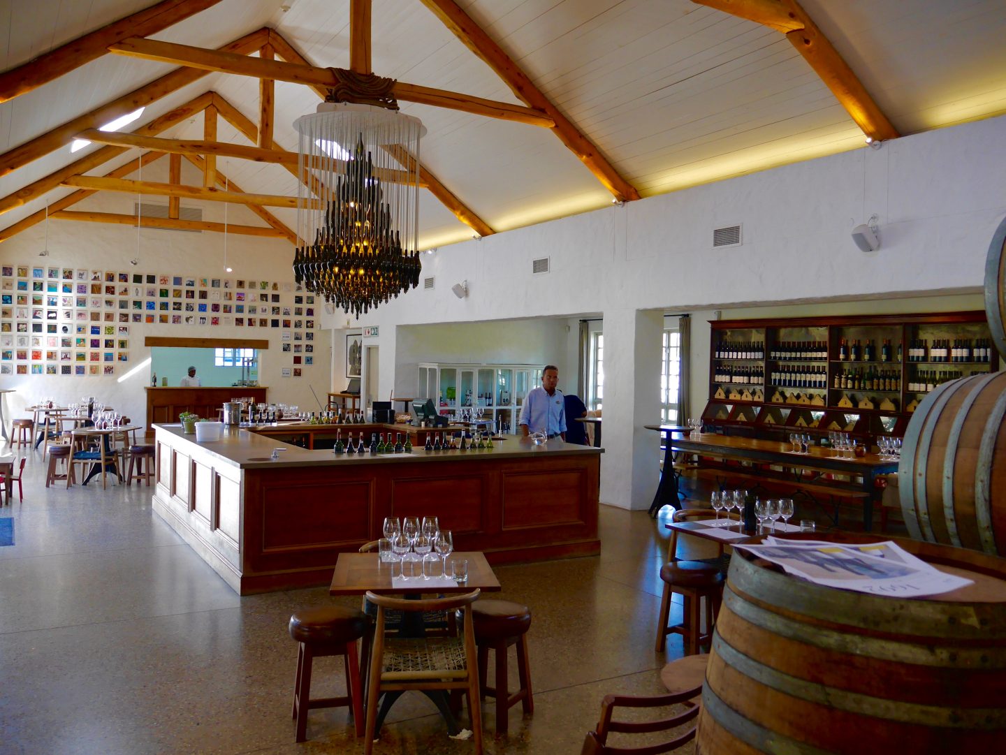 South Africa: Exploring the Cape Winelands with kids
