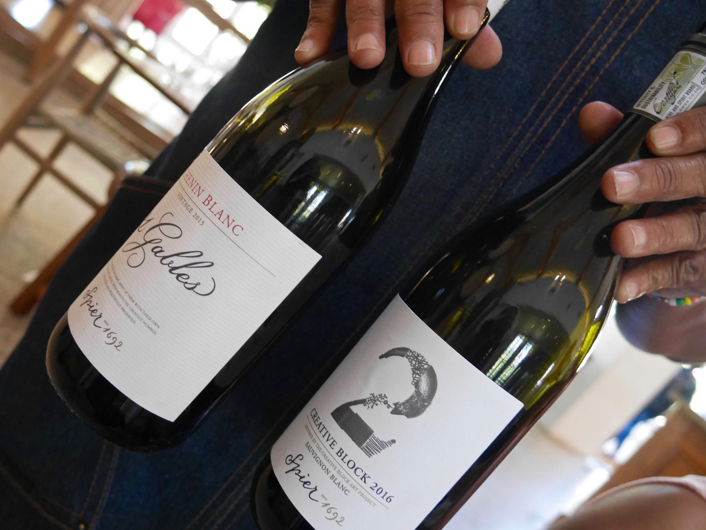 South Africa: Exploring the Cape Winelands with kids