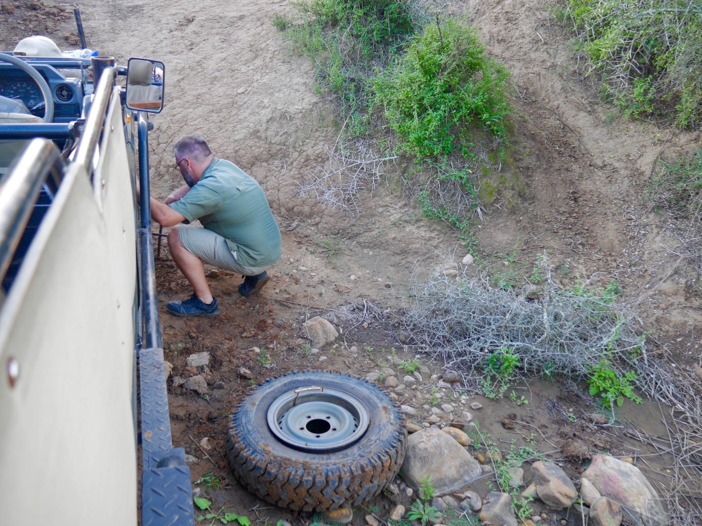 South Africa: 7 tips for an incredible family African safari holiday