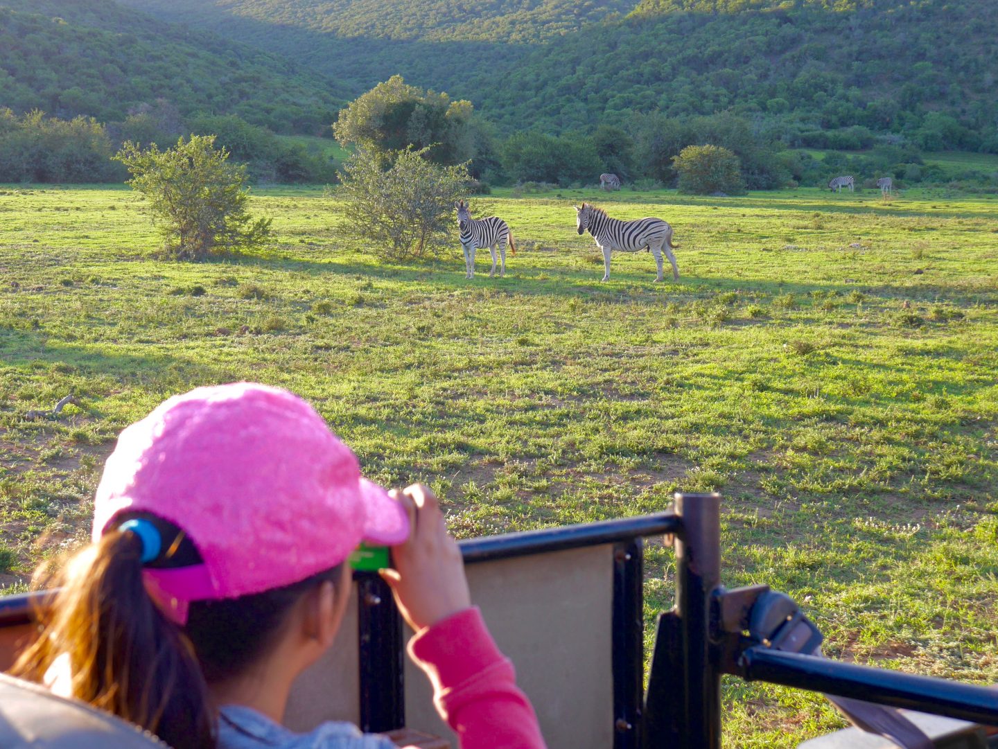 South Africa: 7 tips for an incredible family African safari holiday