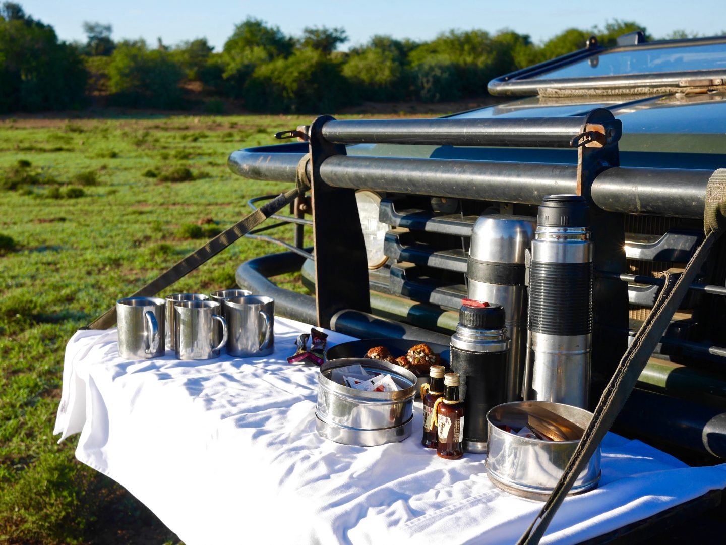 South Africa: 7 tips for an incredible family African safari holiday
