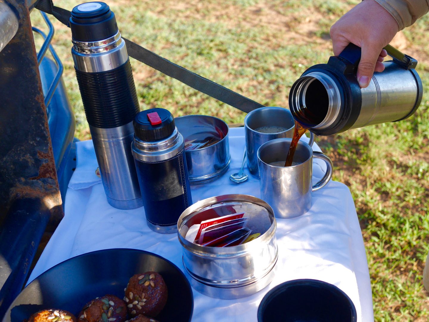 South Africa: 7 tips for an incredible family African safari holiday