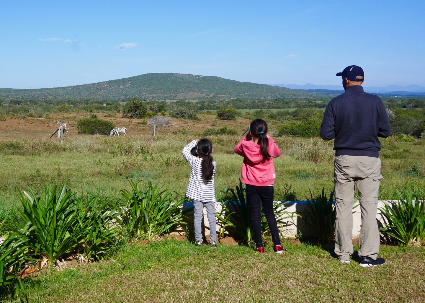Top 5 stops on the Garden Route of South Africa