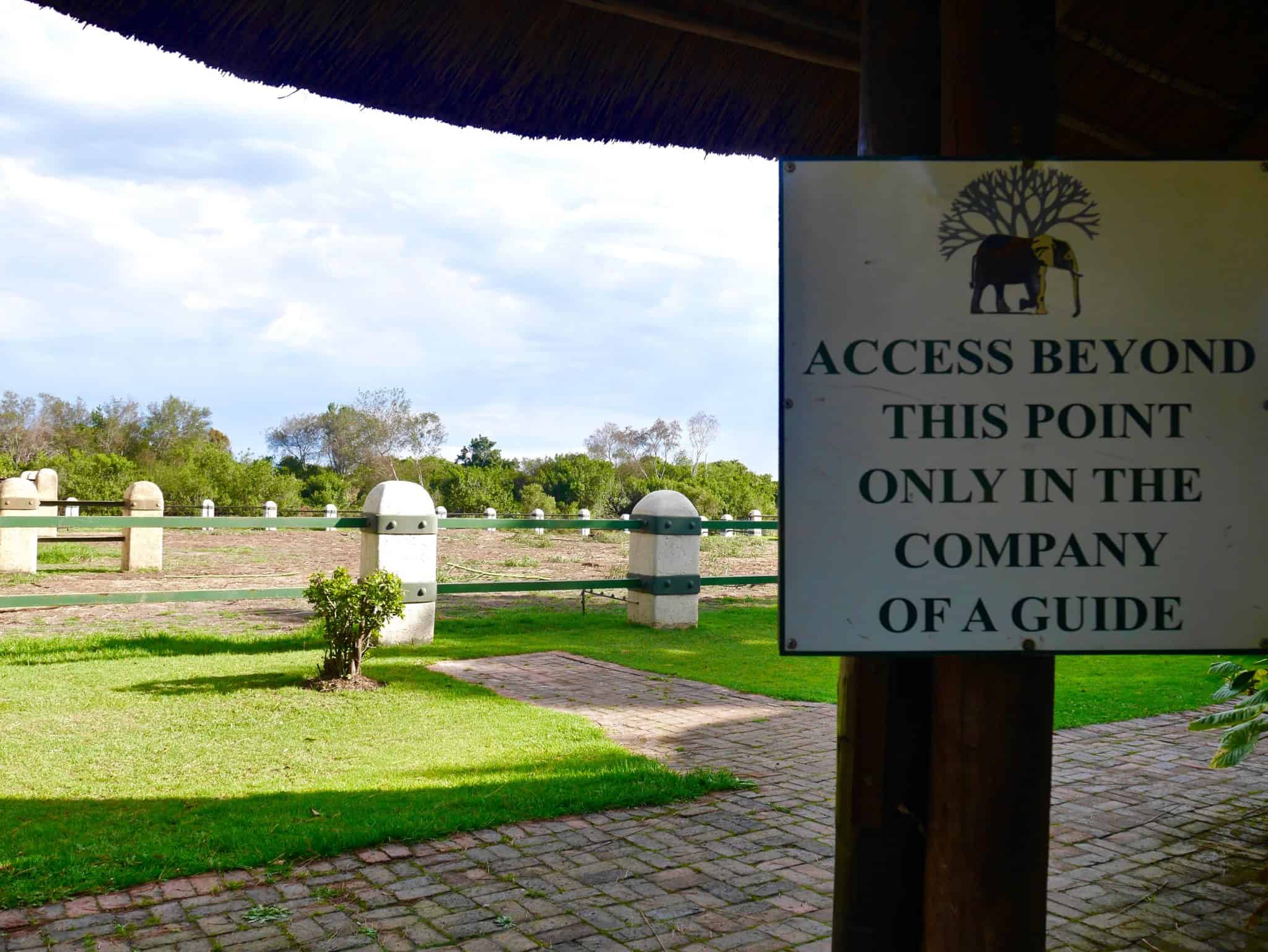 South Africa: The Elephant Sanctuary, Plettenberg Bay