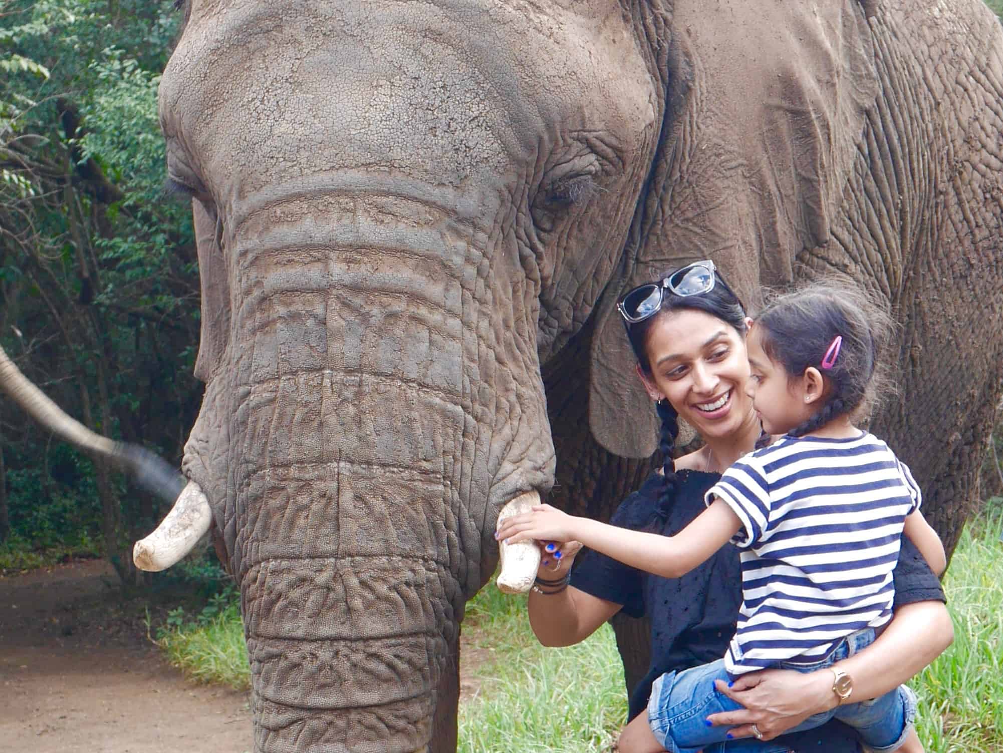 South Africa: The Elephant Sanctuary, Plettenberg Bay