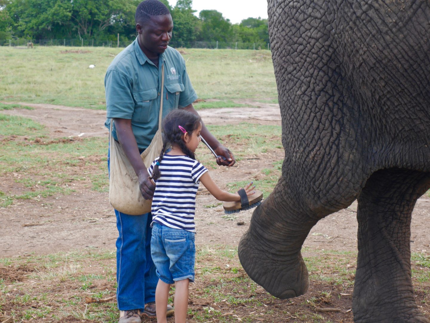 South Africa: The Elephant Sanctuary, Plettenberg Bay