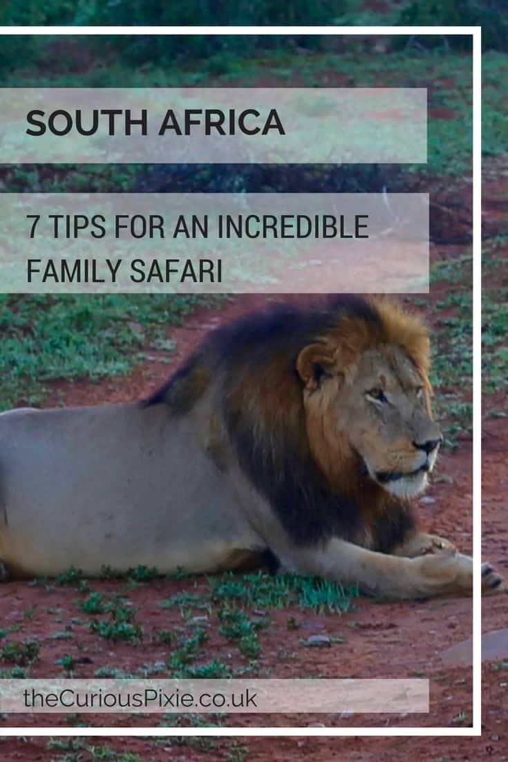 South Africa: 7 tips for an incredible family African safari holiday