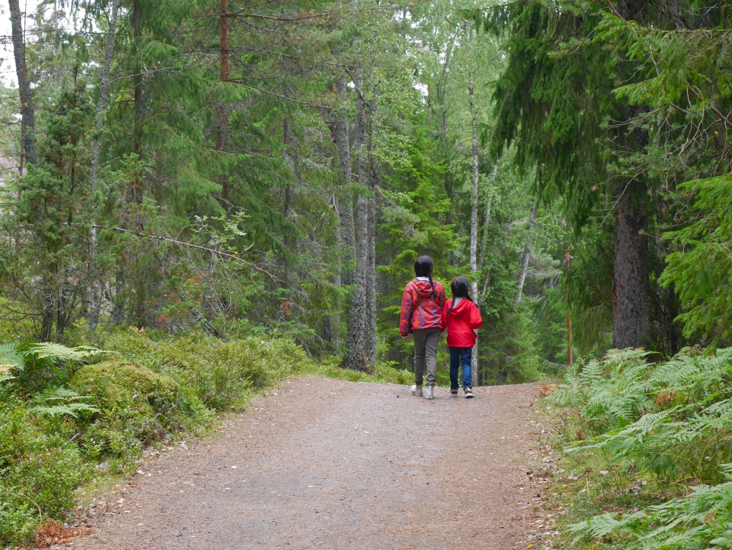 Island hopping around the Stockholm Archipelago