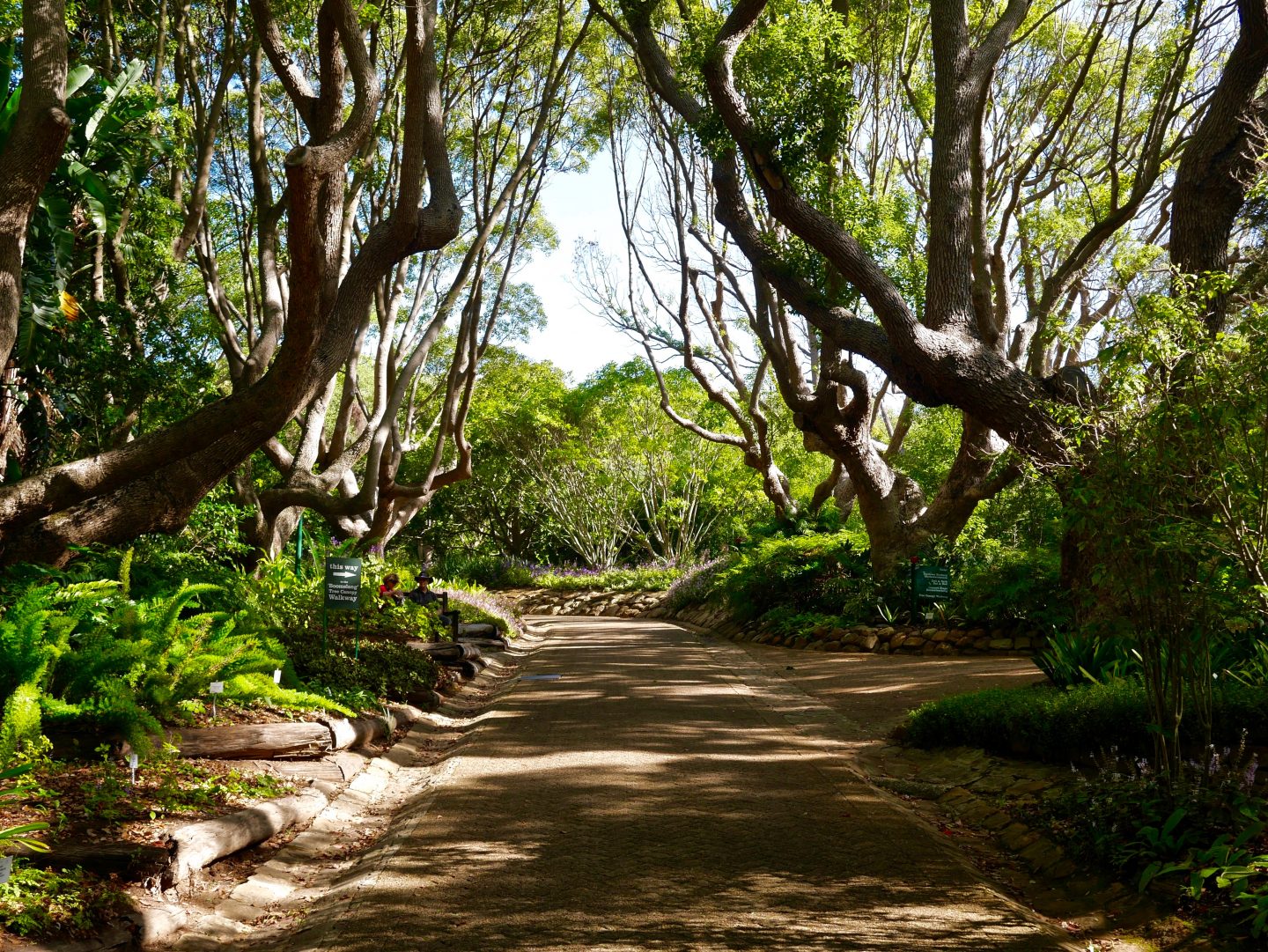 walking up the path in the gardens surrounded by trees and shrubery