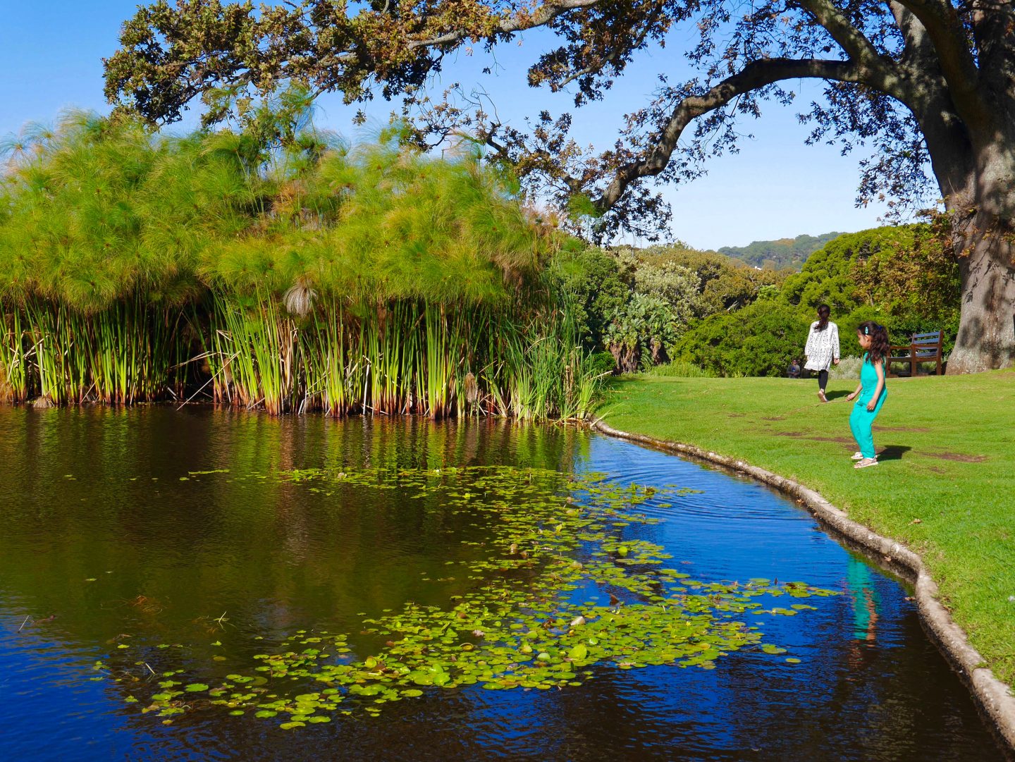 girl wearing jade coloured jump suit along side the lake in the middle of Kirstenboach botanical garden
