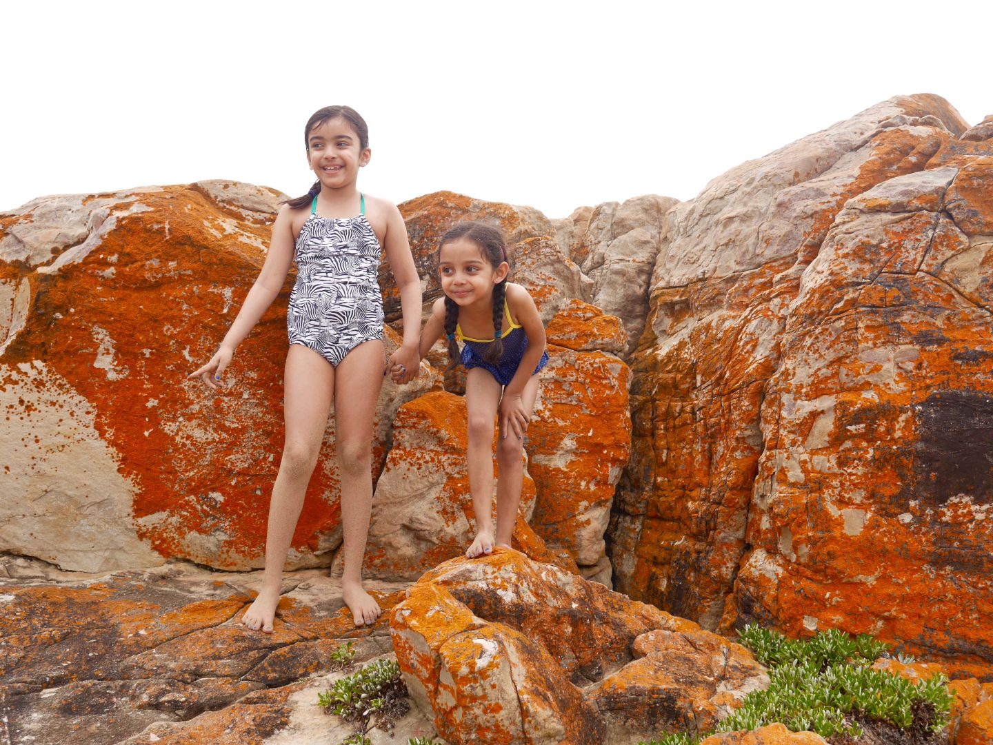 Top 5 stops on the Garden Route of South Africa