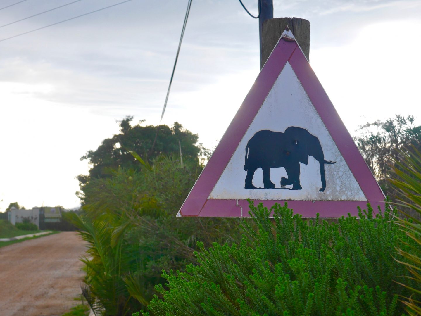 Top 5 stops on the Garden Route of South Africa