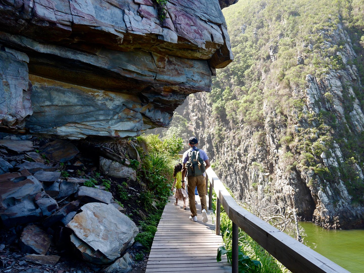 Top 5 stops on the Garden Route of South Africa