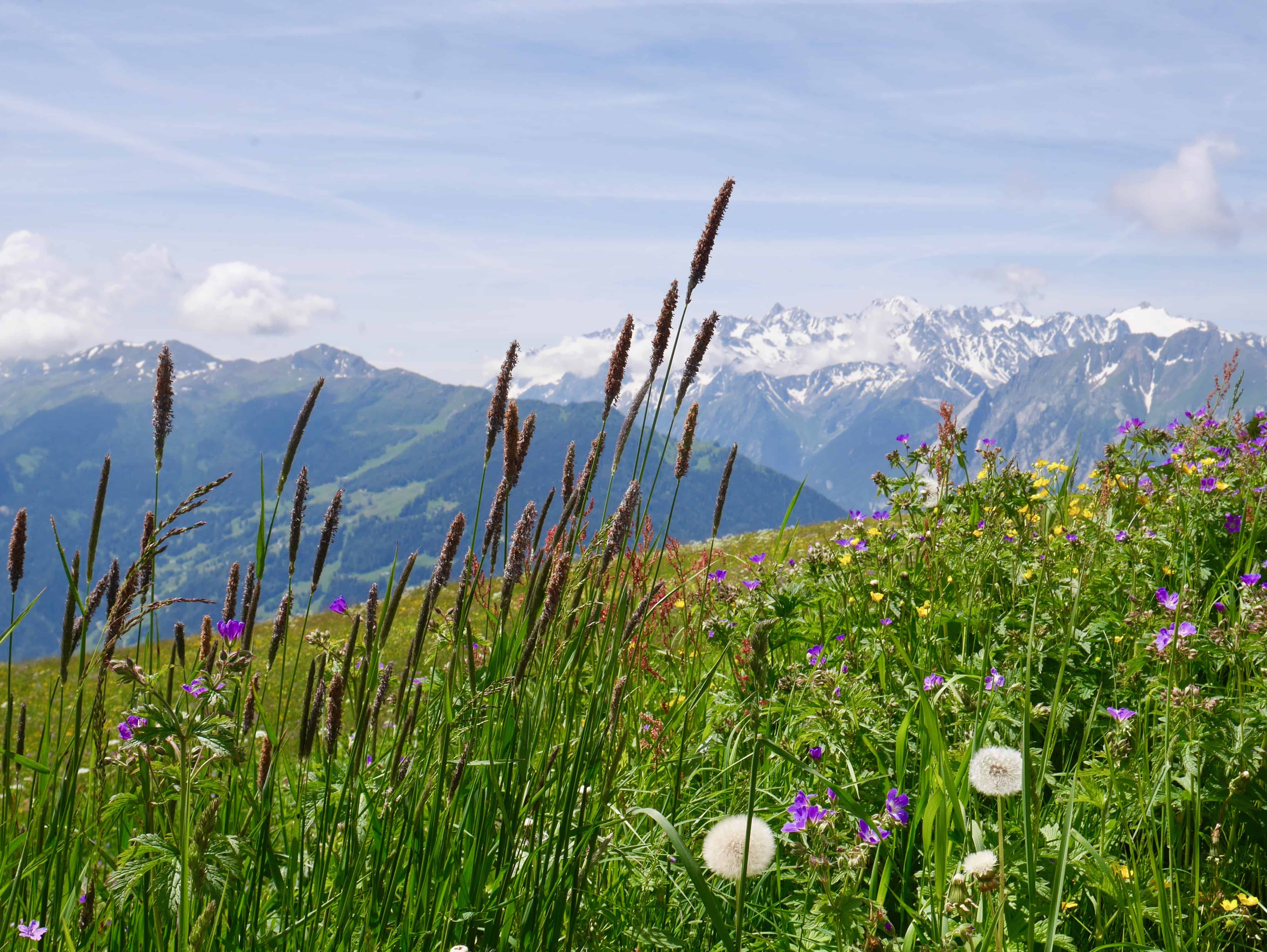 Swiss Bliss at Sir Richard Branson's The Lodge in Verbier