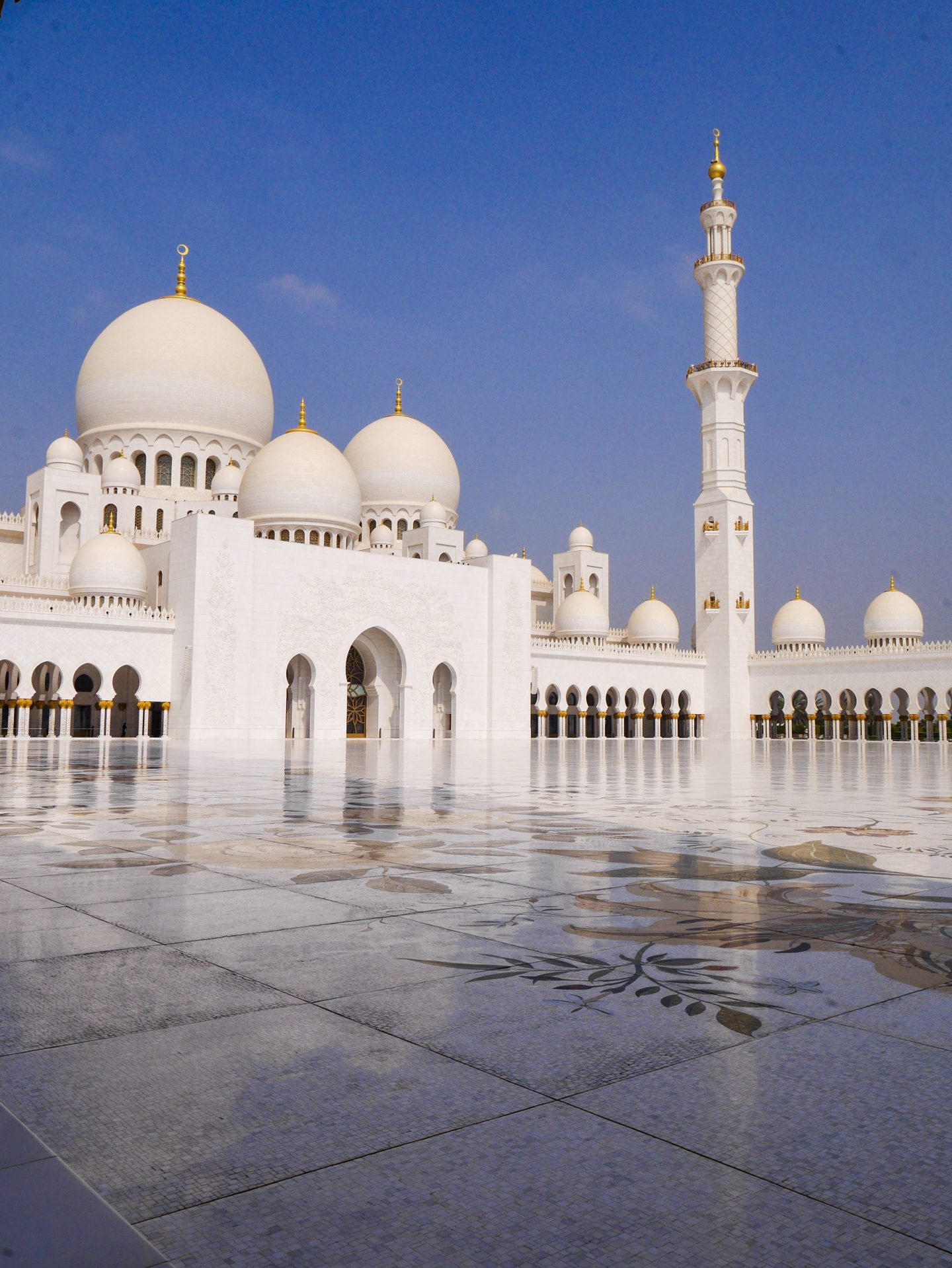Why Abu Dhabi in Summer is a Great Idea | visit Abu Dhabi in the summer