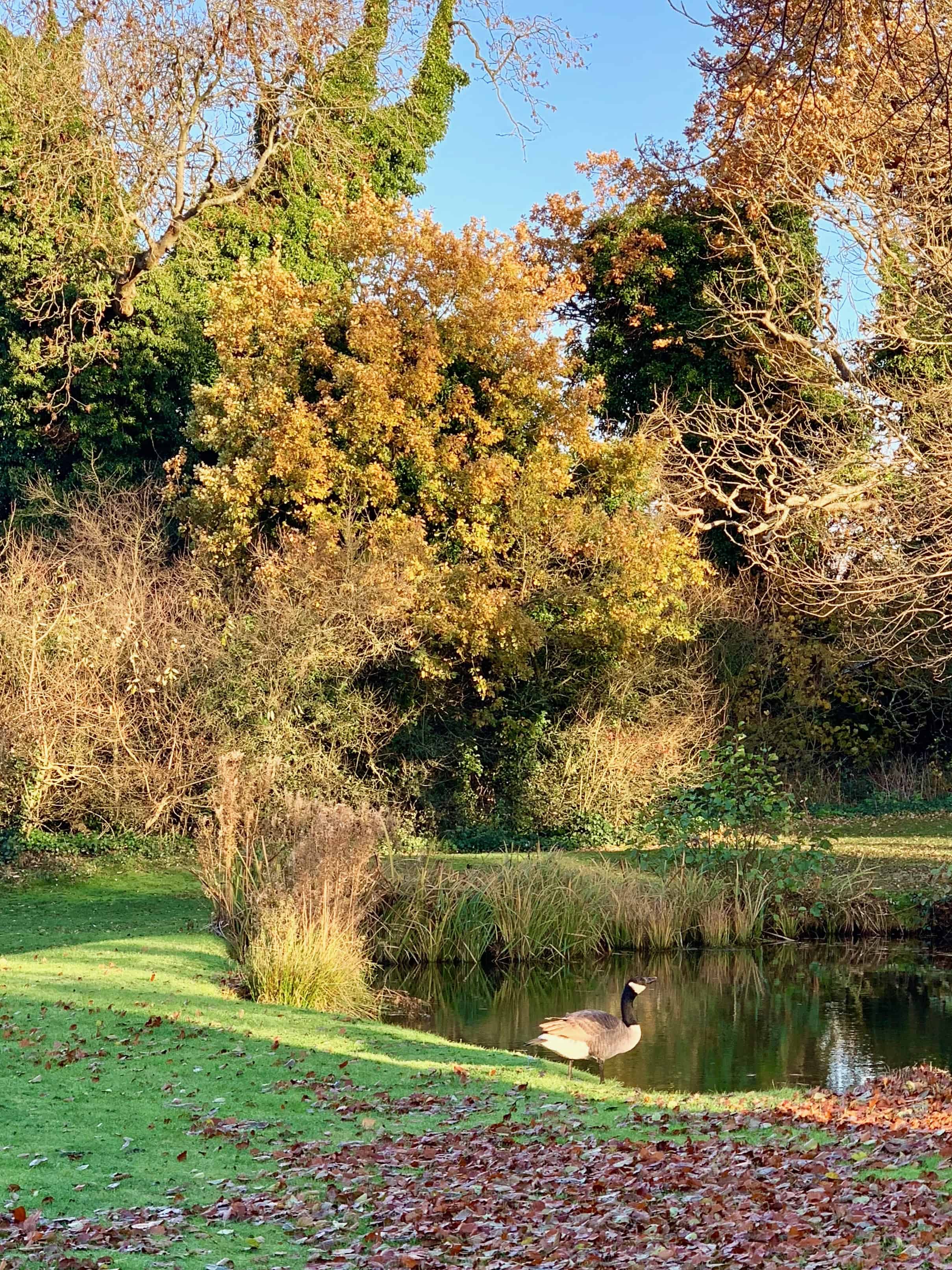 Relaxing Break at New Hall Hotel and Spa, Sutton Coldfield