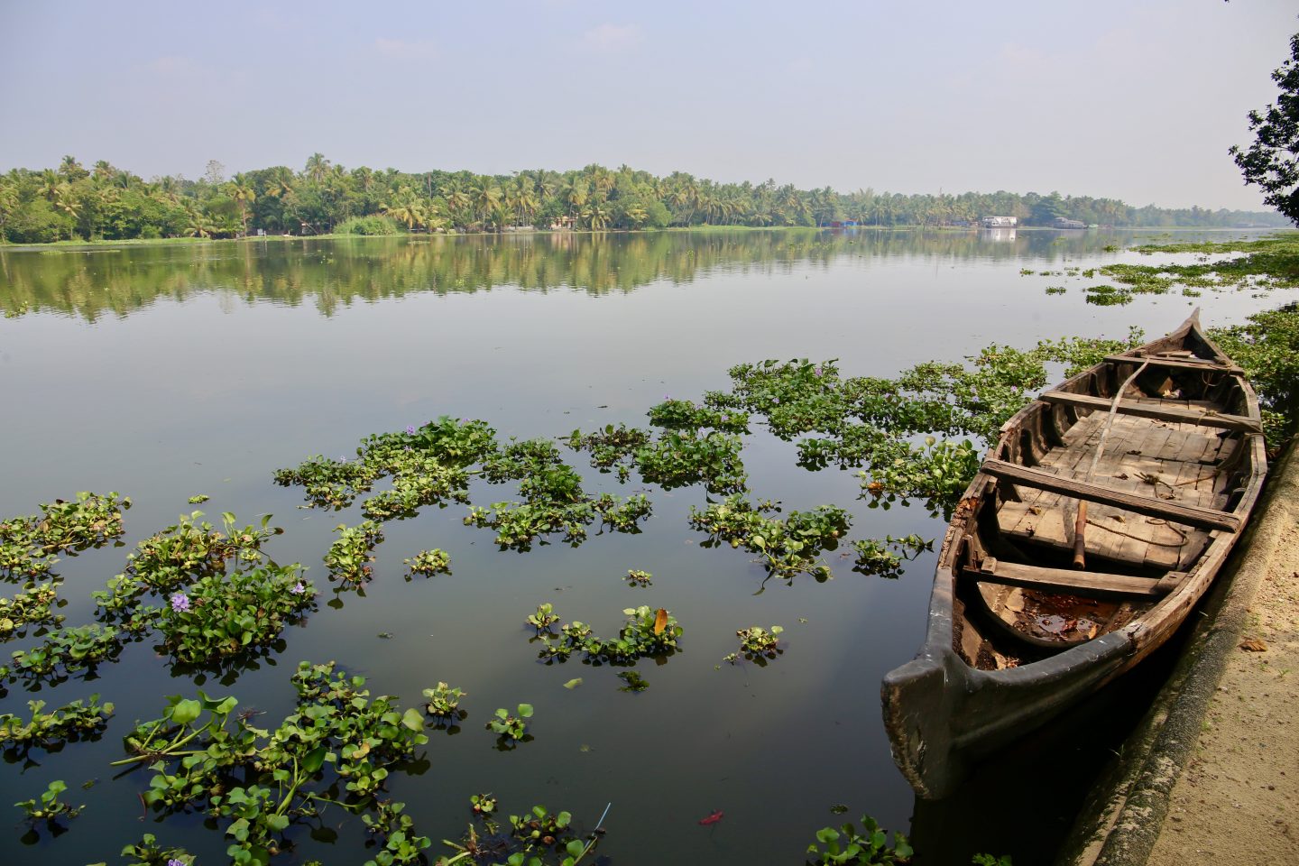 Postcards from the Keralan Backwaters