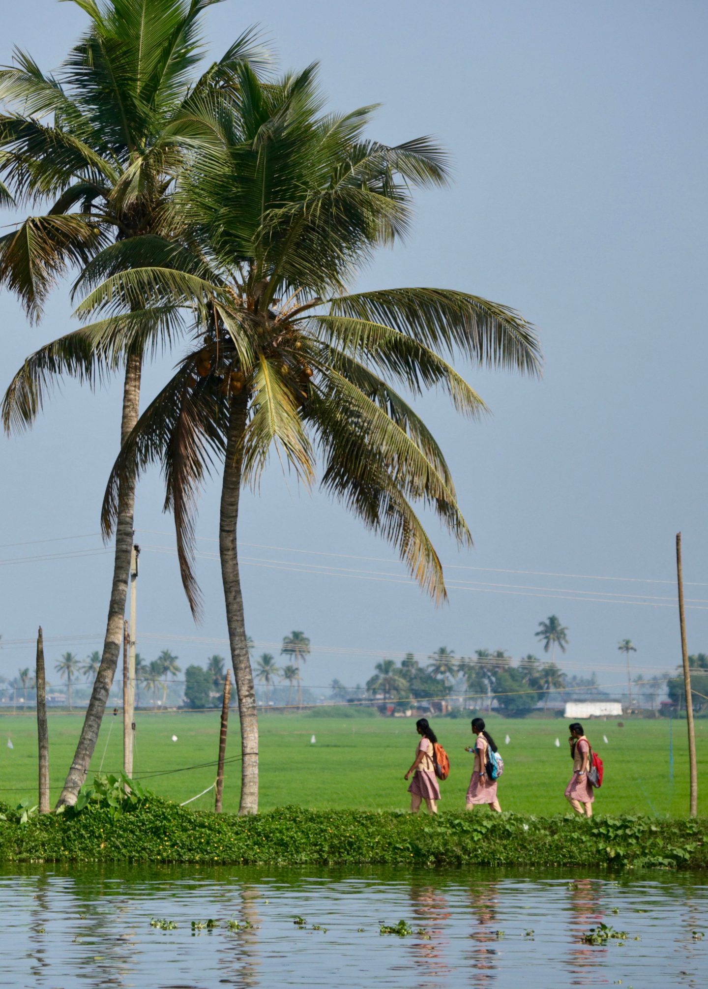 Postcards from the Keralan Backwaters