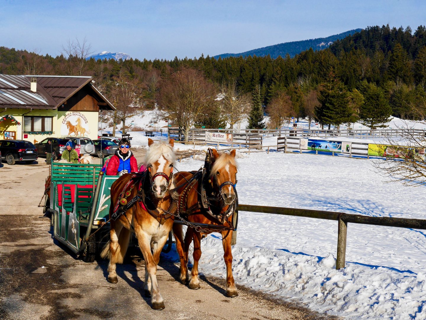 view of horses pulling a sleigh looking vehicle in the dolomites