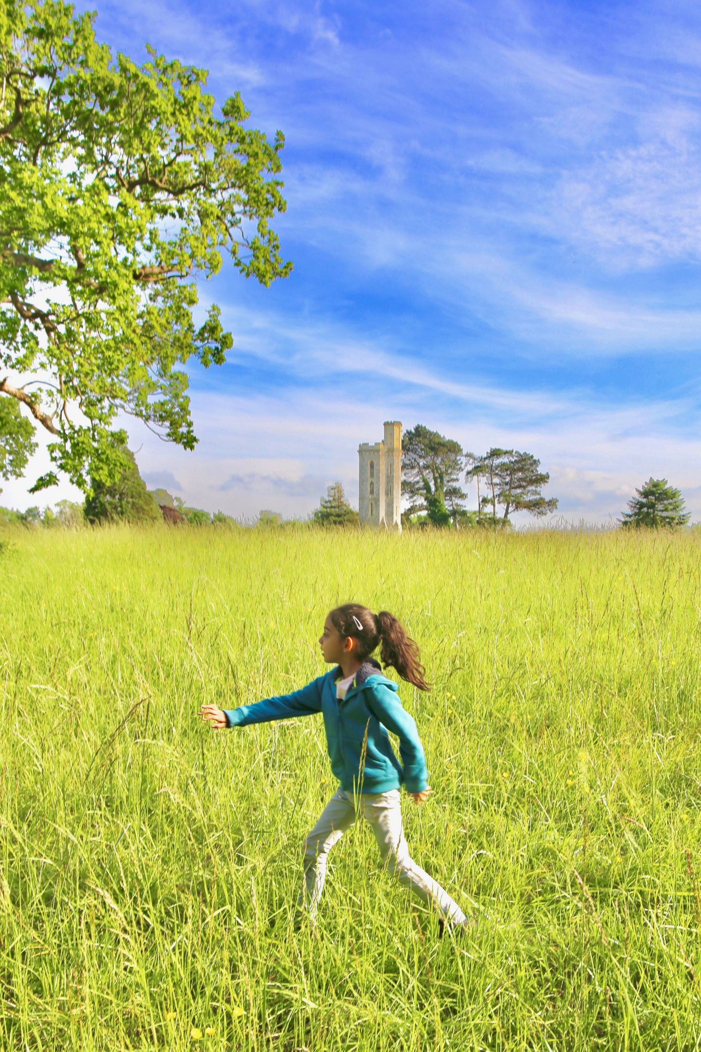 Ultimate Wildlife Adventure at Camp Baboon