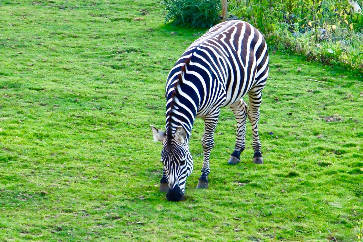 Ultimate Wildlife Adventure at Camp Baboon