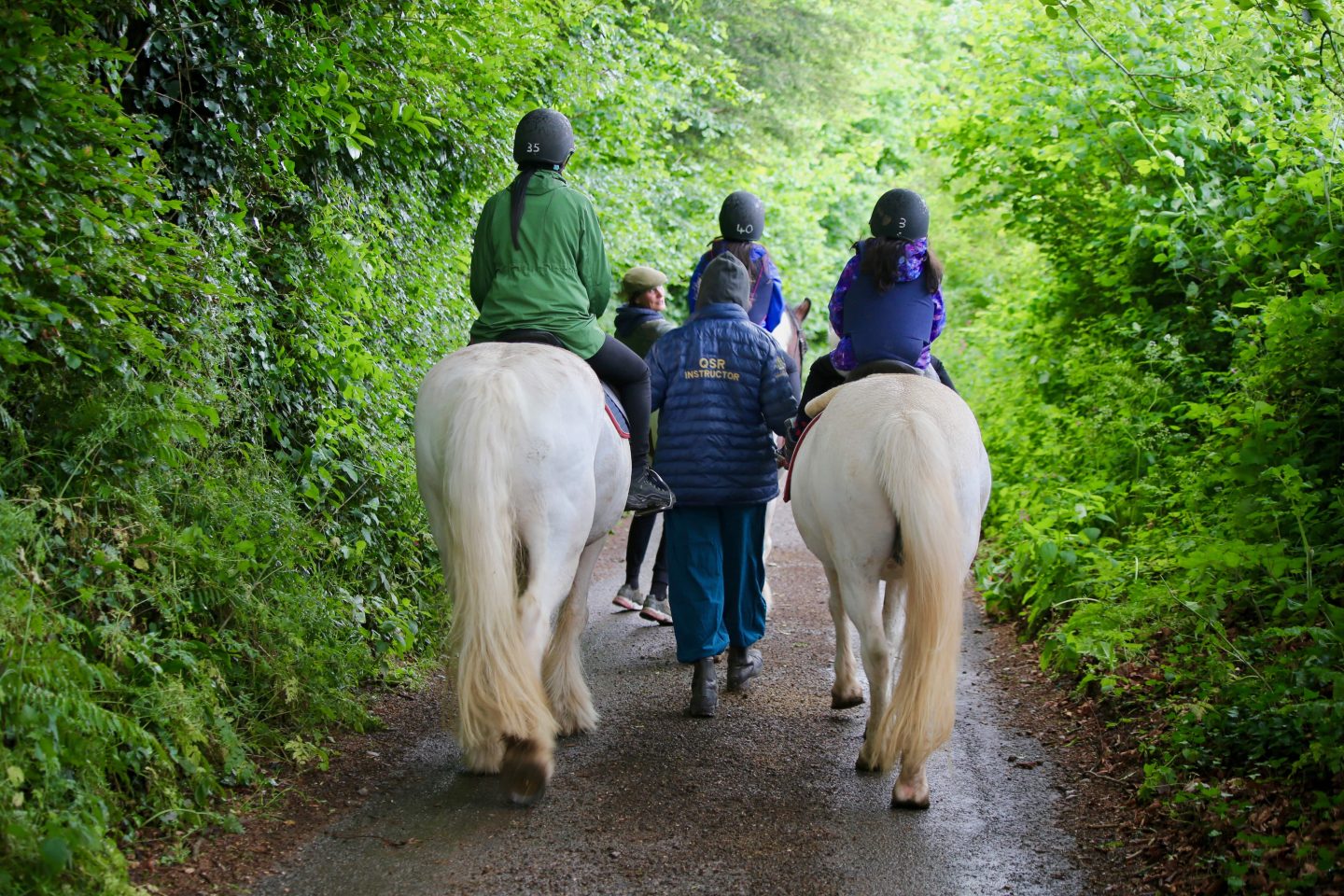 WHY YOU MUST VISIT THE  QUANTOCK HILLS, SOMERSET