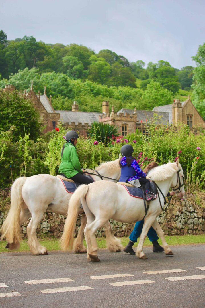 Why You Must Visit the Quantock Hills, Somerset
