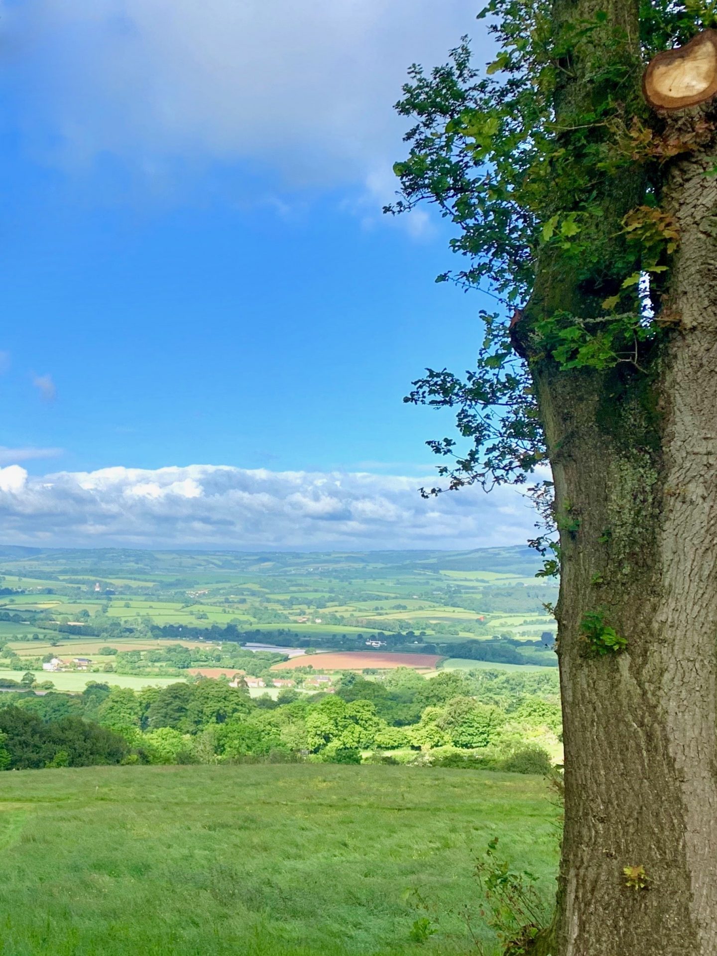 WHY YOU MUST VISIT THE  QUANTOCK HILLS, SOMERSET