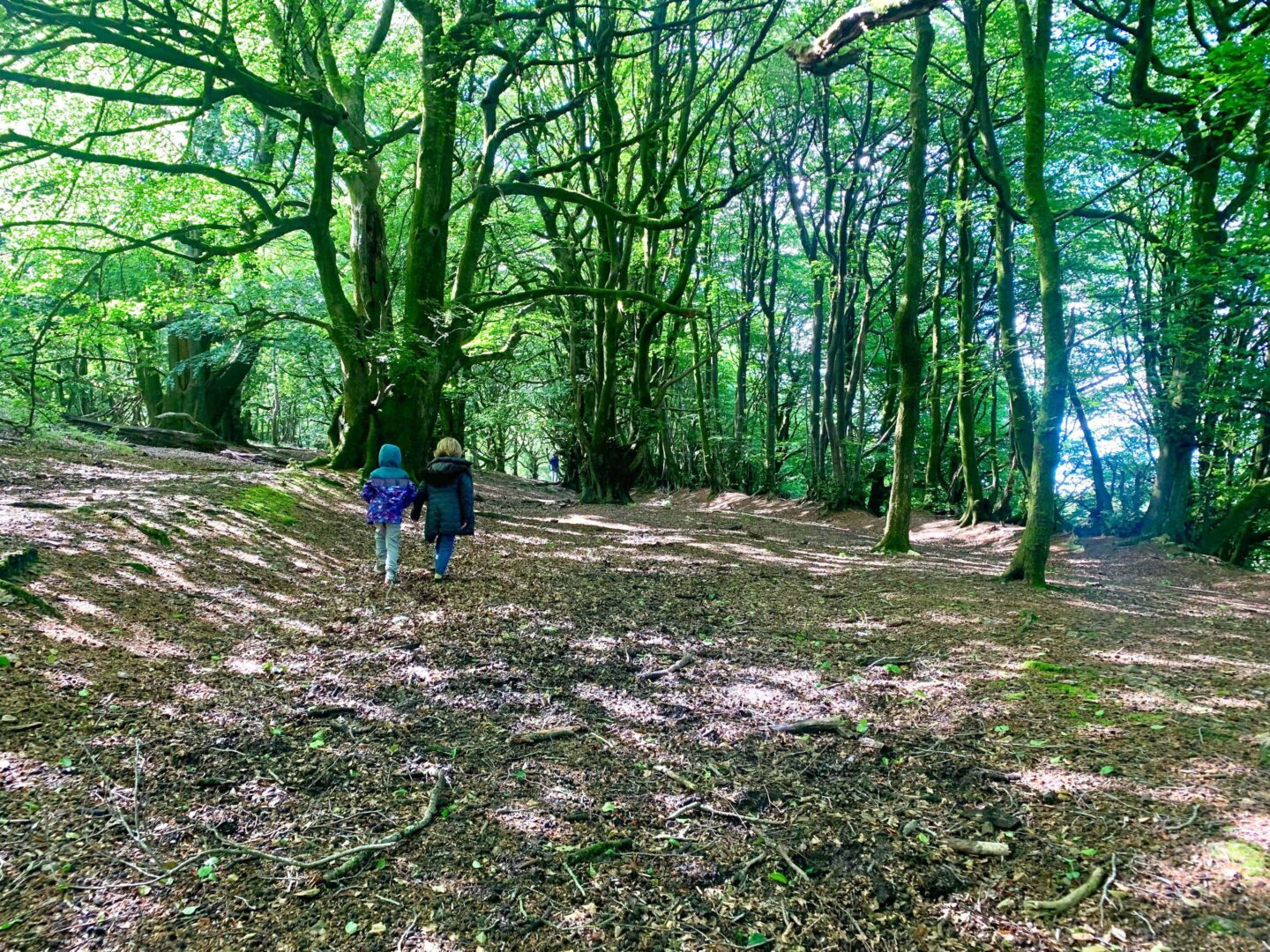 WHY YOU MUST VISIT THE  QUANTOCK HILLS, SOMERSET