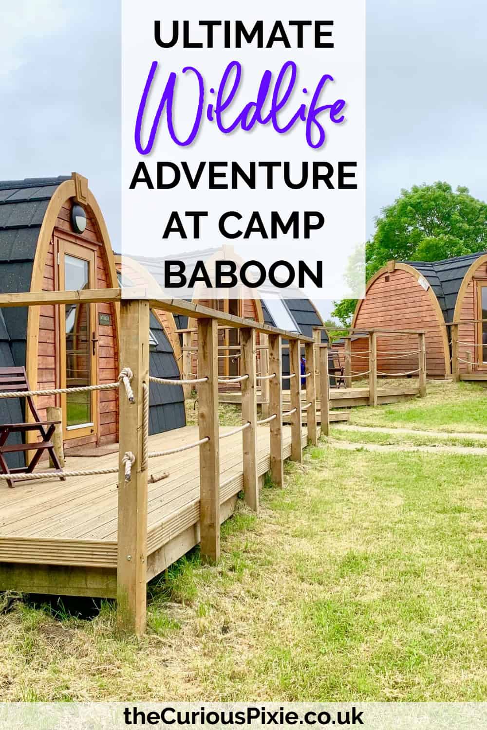 Ultimate Wildlife Adventure at Camp Baboon