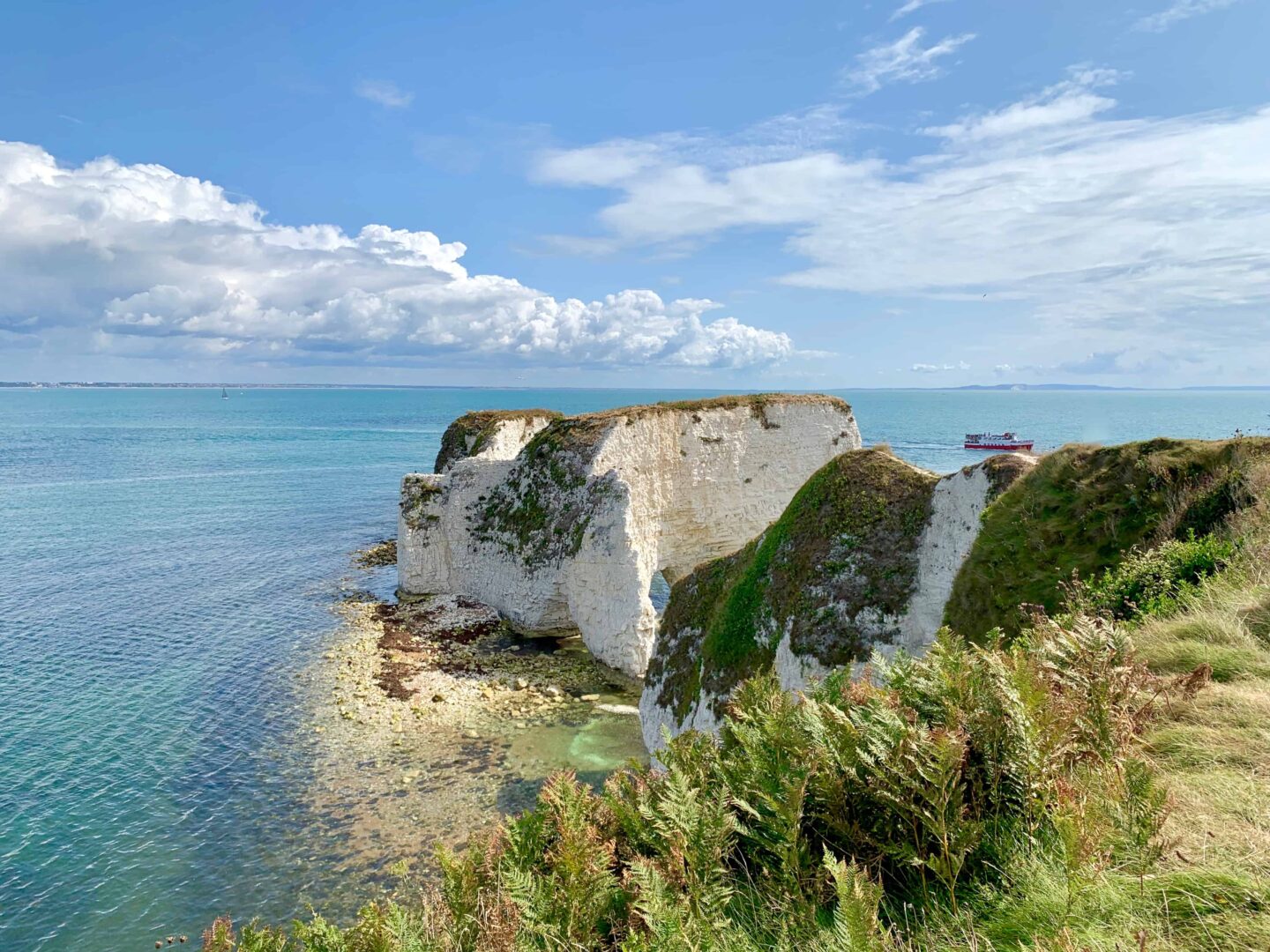 old harry rock white cliff view looking out to sea from grassed area