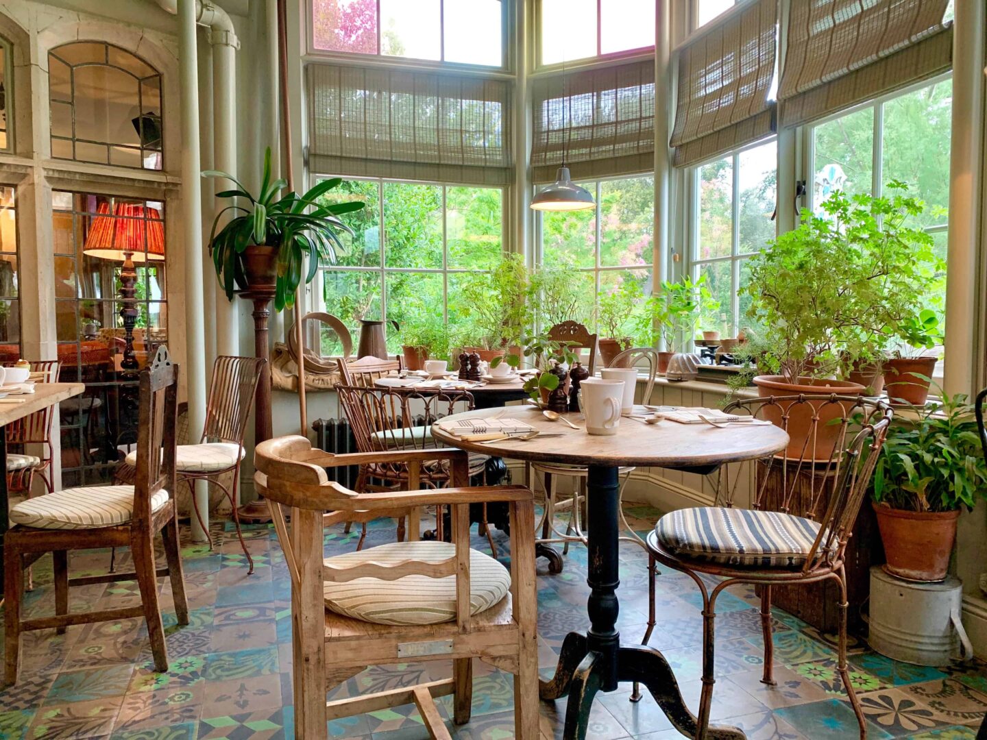 The Conservatory restaurant with high windows, brown blinds, wooden chairs and indoor greenery