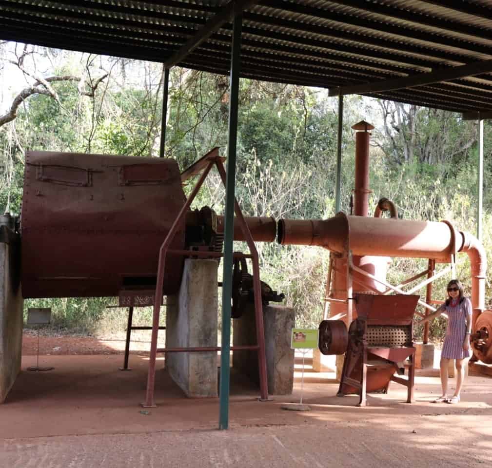 view of lady in blue dress stood alongside large machine in coffee farm in kenya