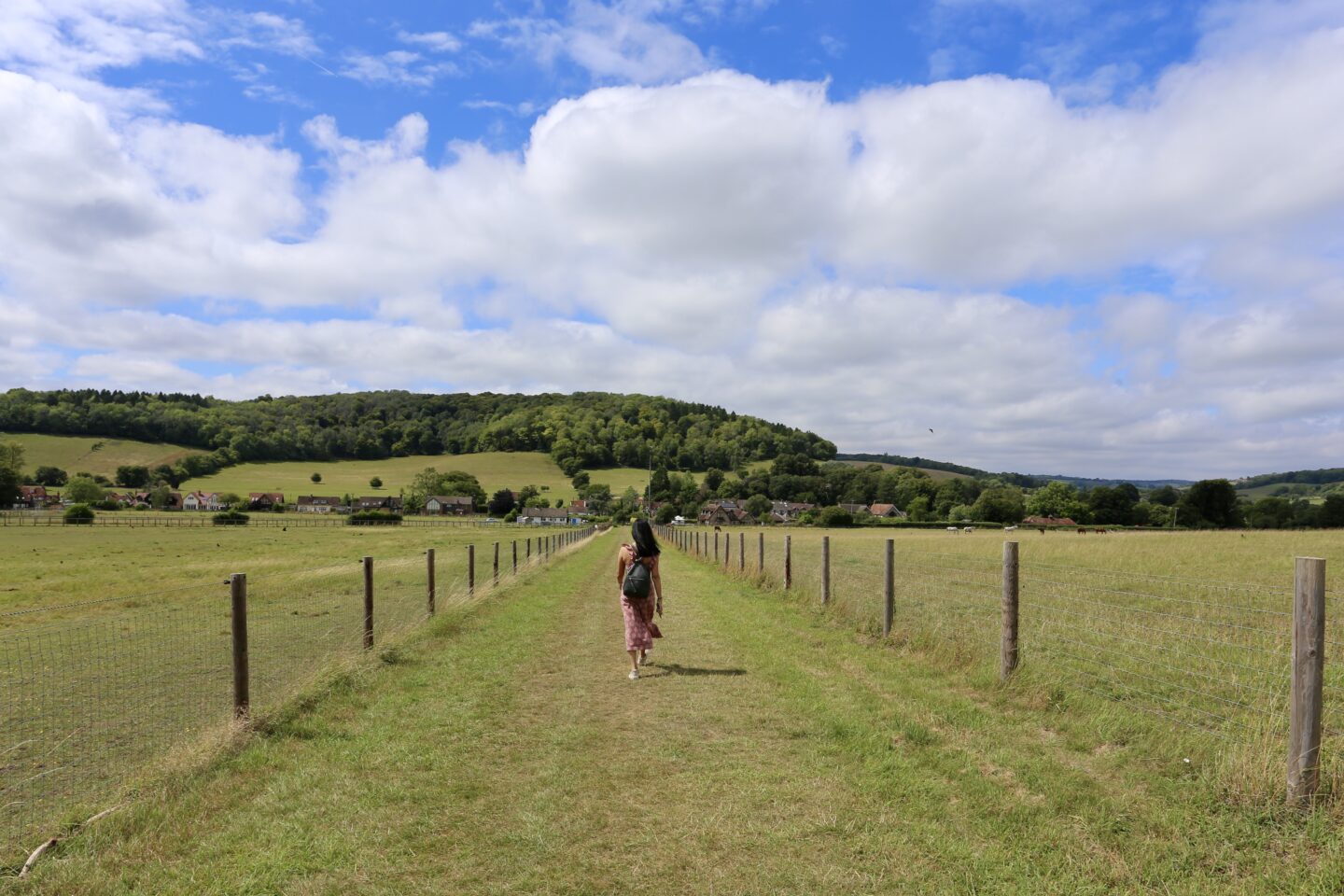 sima walking in between fields and wire fencing