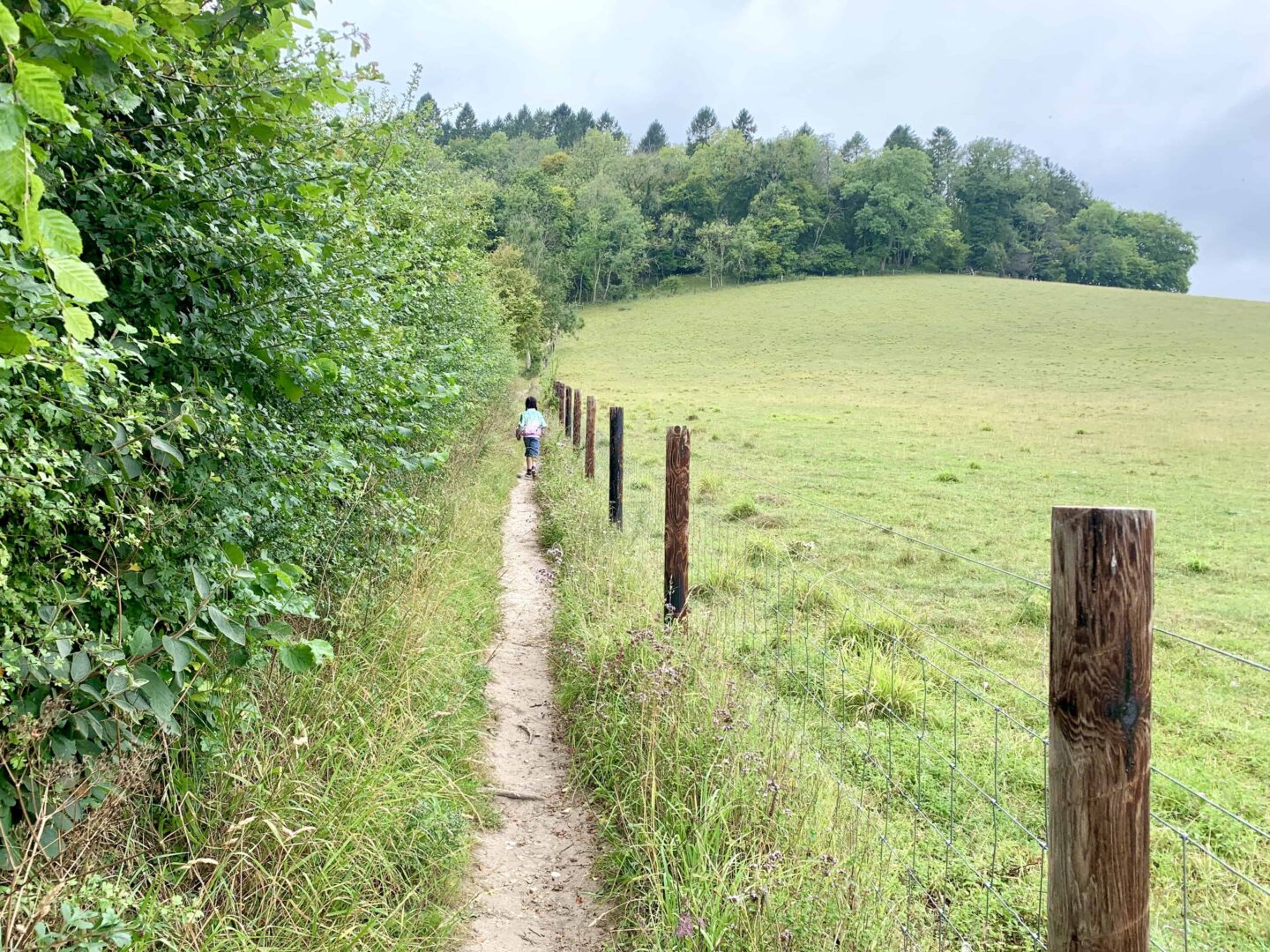 child walking alongside a field on a dirt track