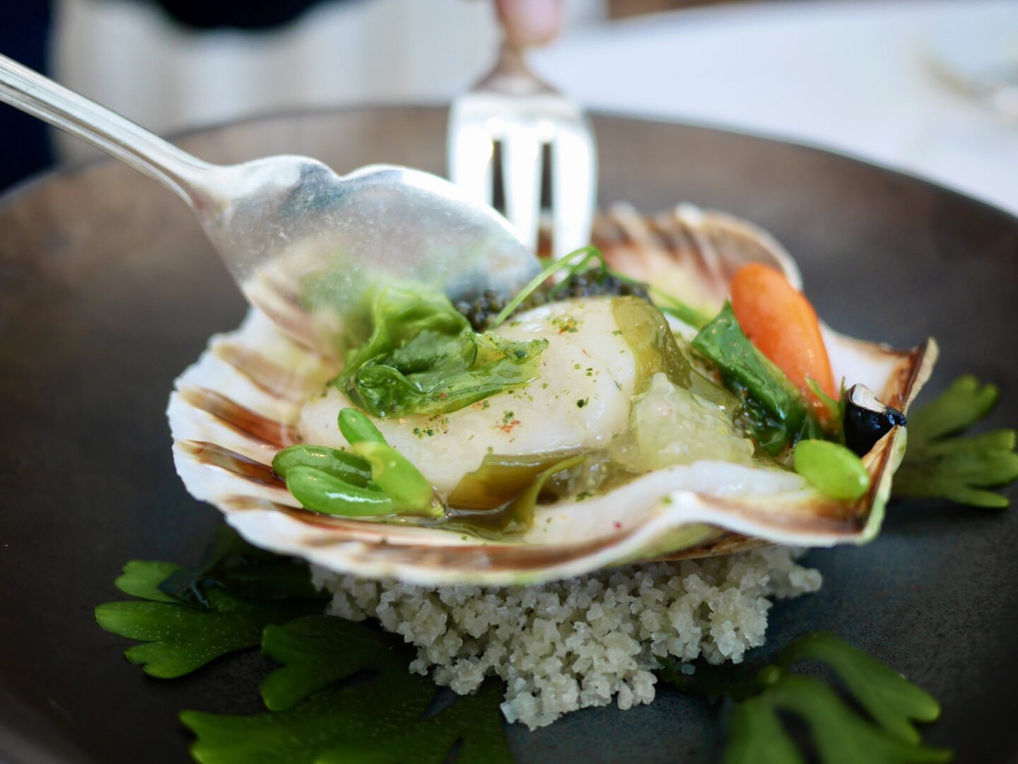 hand-dived Orkney scallop, iced dashi and citrus.