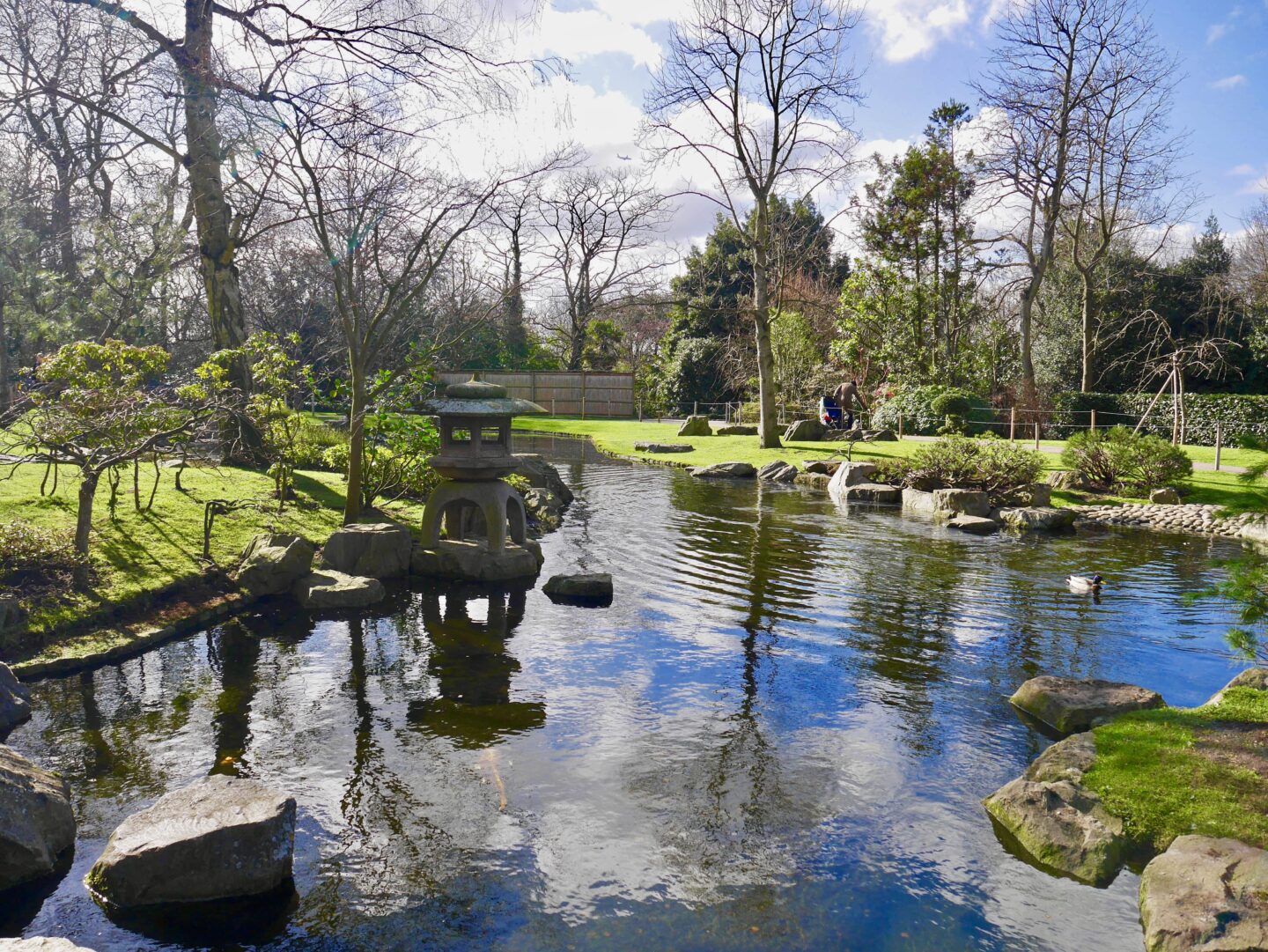 view of the pond around Holland Park and Kyoto gardens