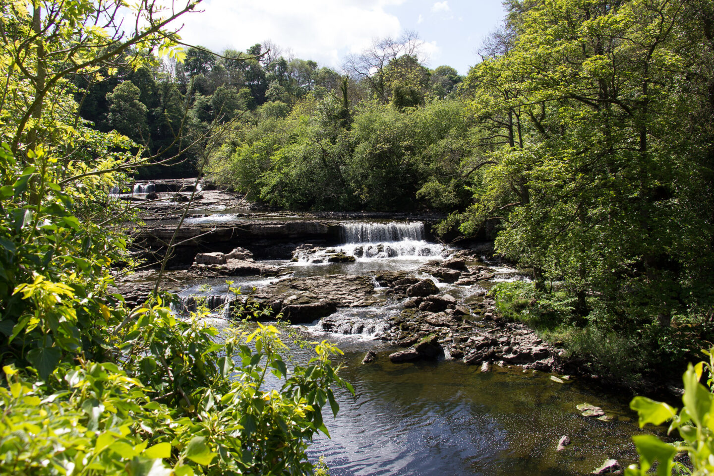 Aysgarth Fall in the Yorkshire Dales