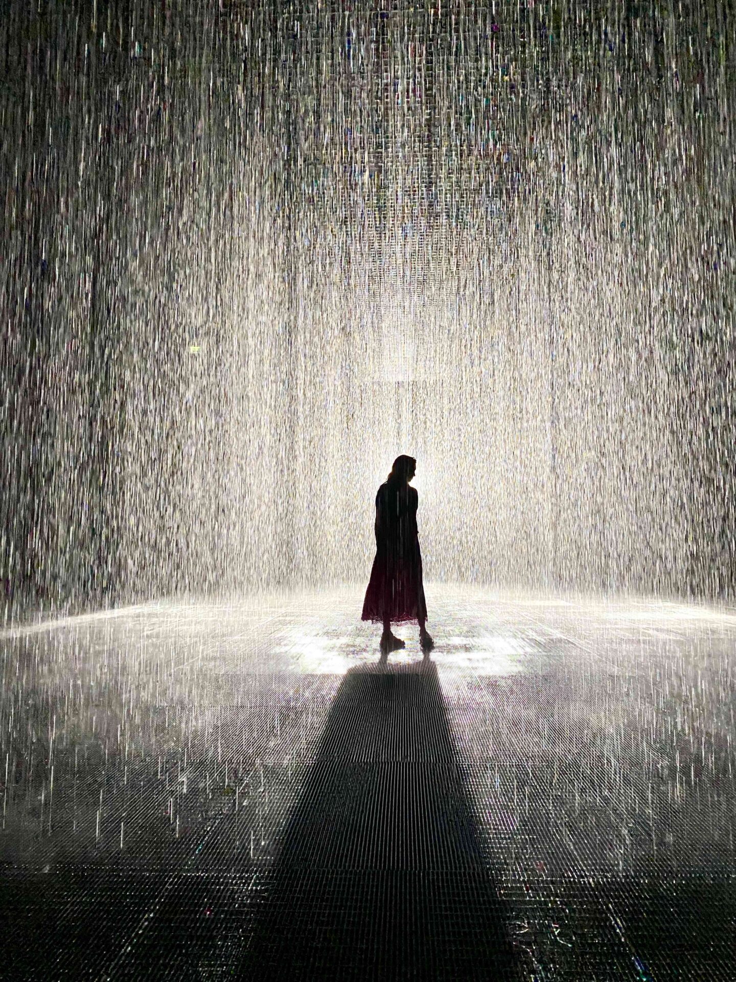 Best Things to do in Sharjah - The Rain Room