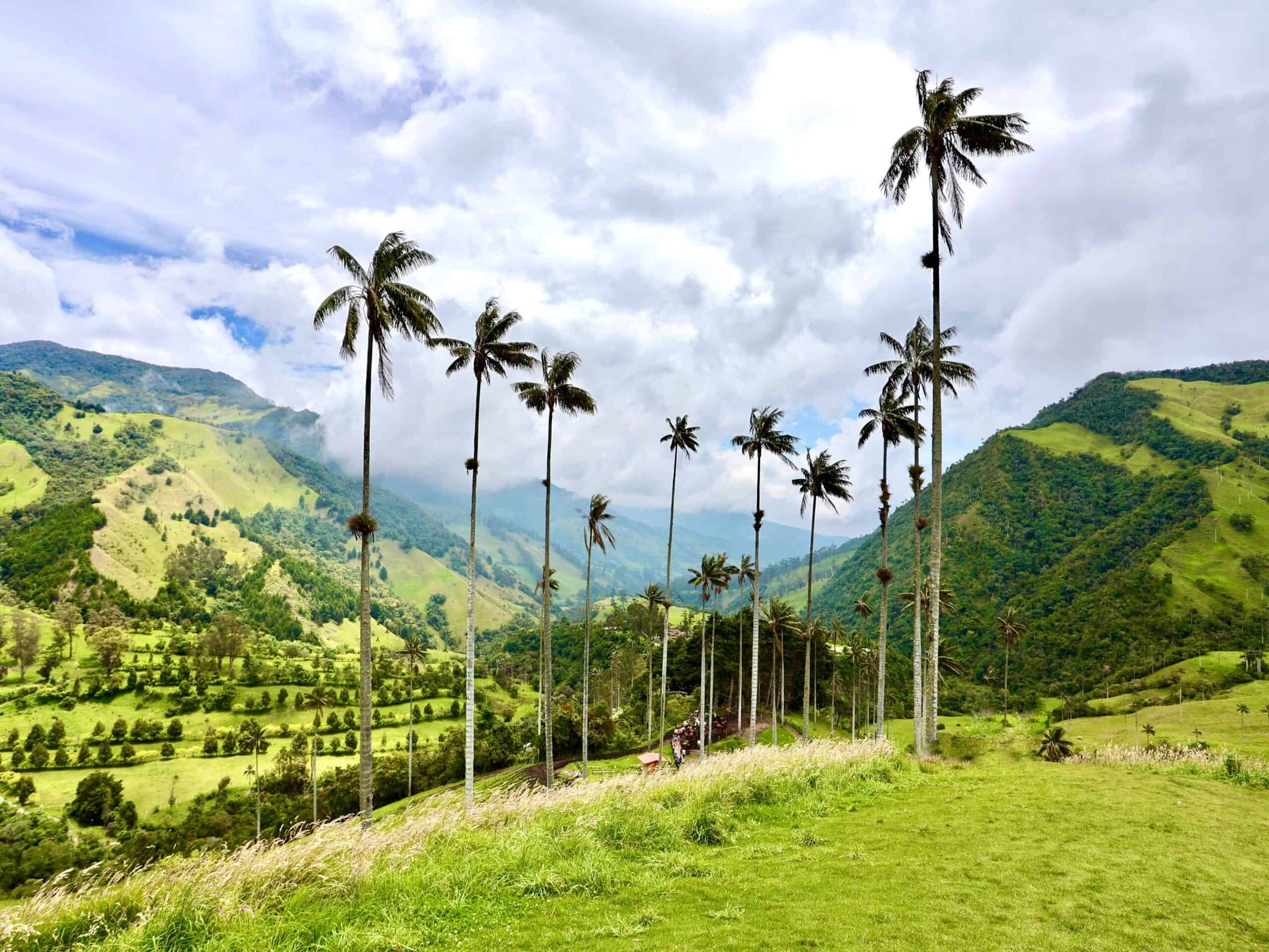 Armenia & the Department of Quindío - Colombia - CHILE TRAVEL GUIDE