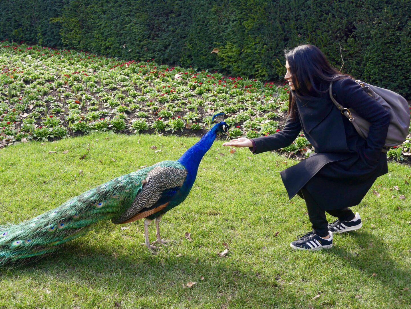 Things to Do in London This Summer - Holland Park