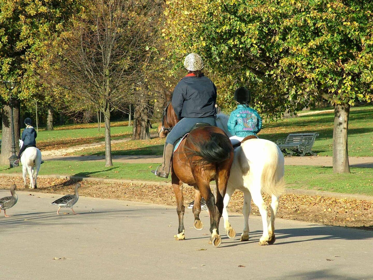 Things to Do in London This Summer - Hyde Park horseriding